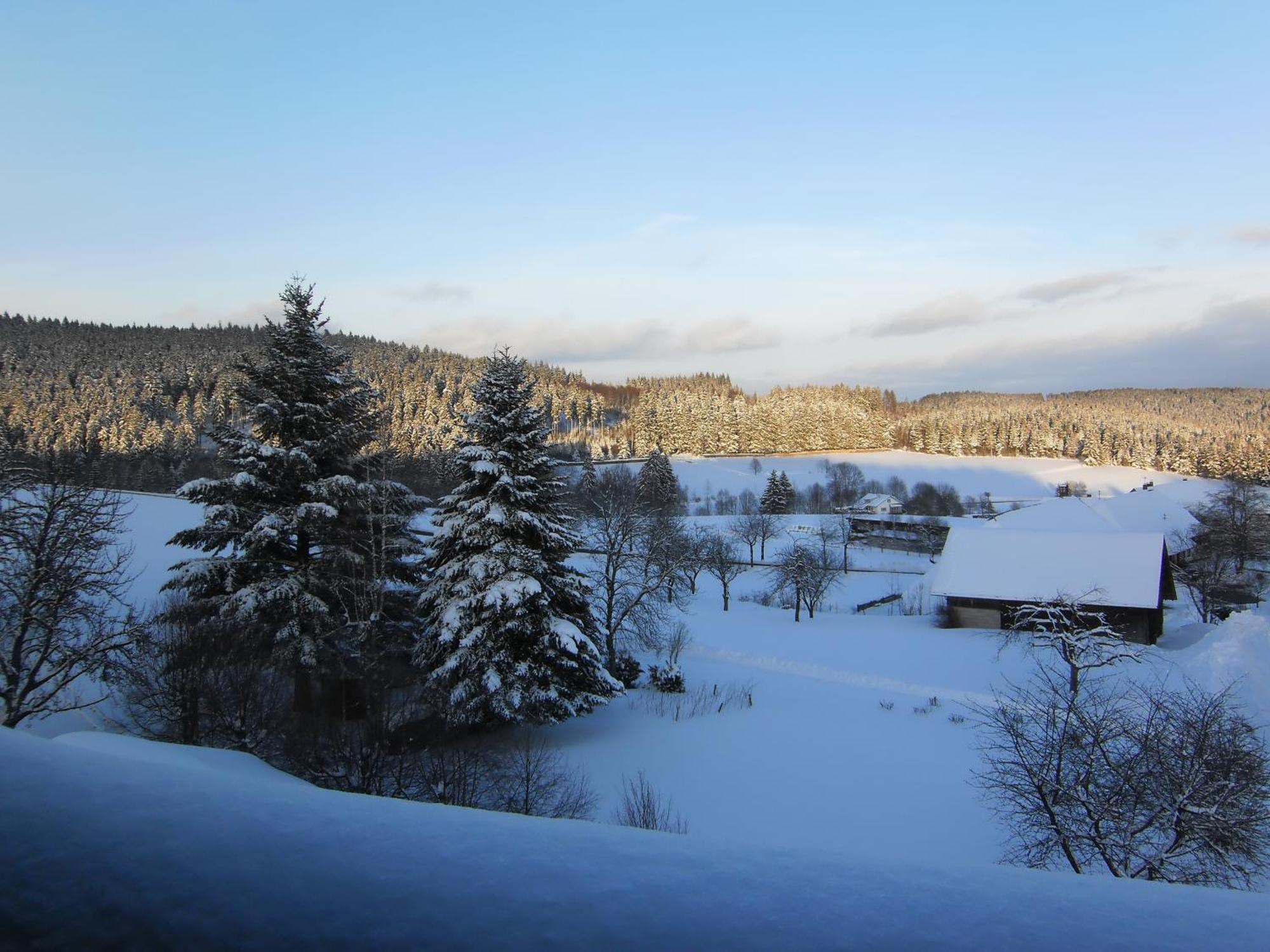 Landhotel Bartlehof Шлухзее Экстерьер фото